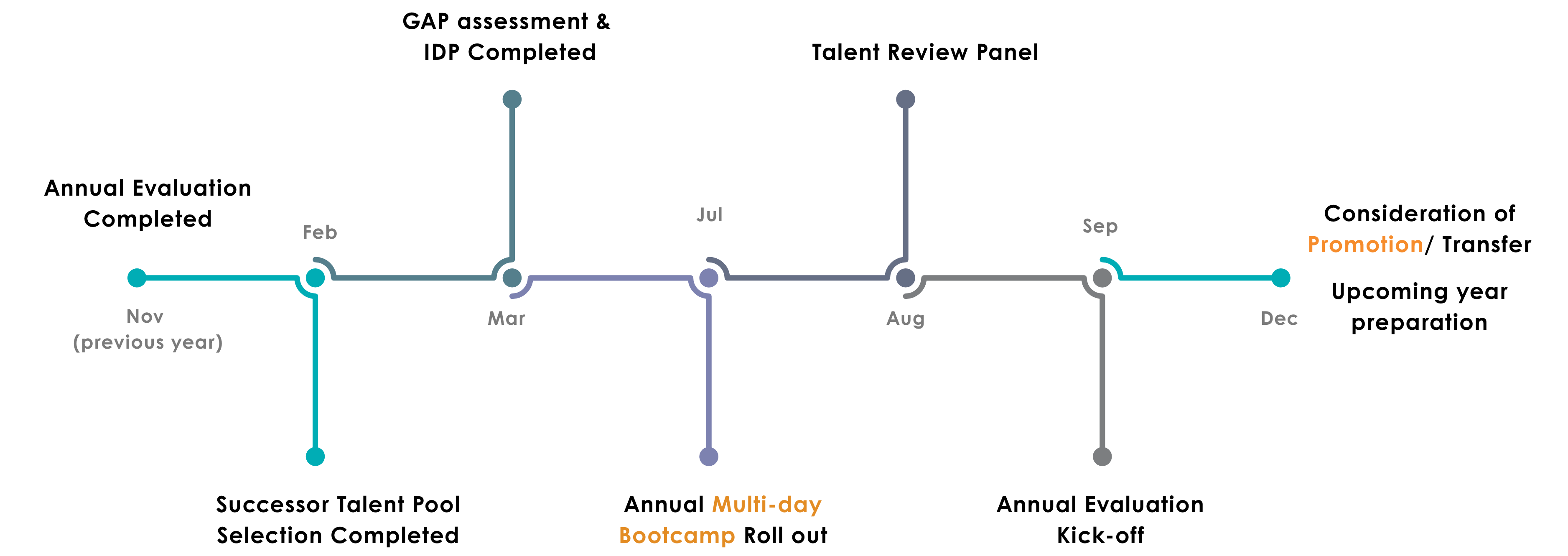 Annual Succession Planning Cycle